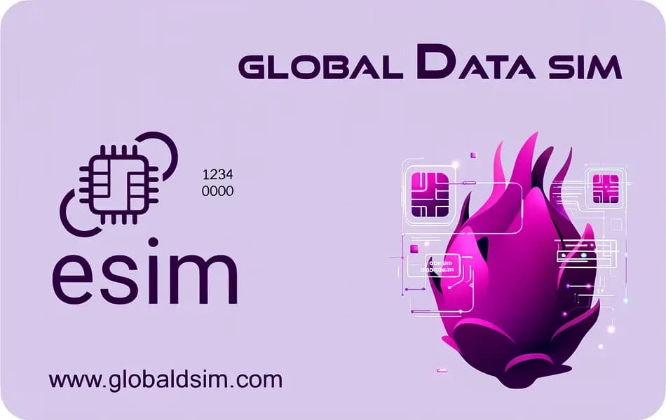 Global Data eSIM 卡
